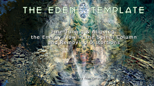 Fine Tuning & Aligning the Energy Flow in the Spinal Column and Removing Distortions